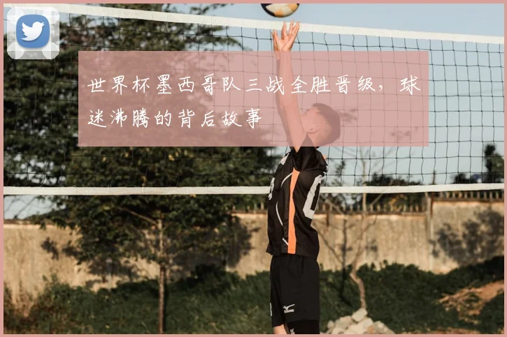 世界杯墨西哥队三战全胜晋级,球迷沸腾的背后故事